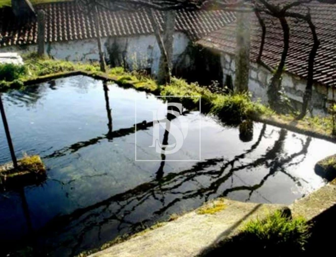 Quinta para Venda em Gandra Foto 2