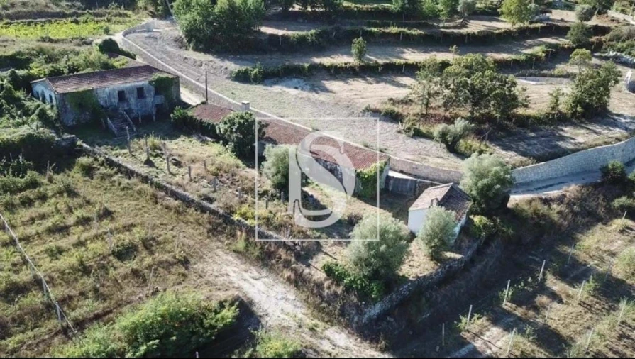 Quinta para Venda em Gandra Foto 9