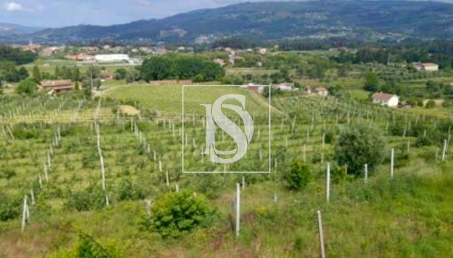 Quinta para Venda em Gandra Foto 17