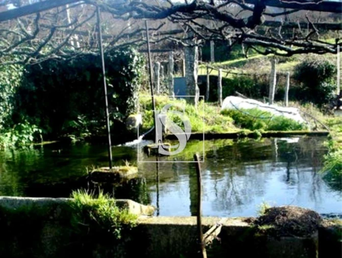 Quinta para Venda em Gandra Foto 3