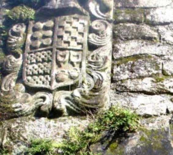 Quinta para Venda em Gandra Foto 15