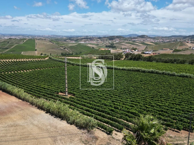 Moradia T4 para Venda em Encarnação Foto 12