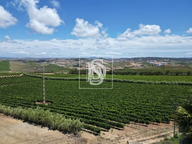 Moradia T4 para Venda em Encarnação Foto 5