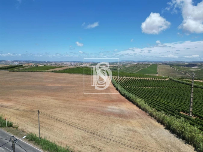 Moradia T4 para Venda em Encarnação Foto 20