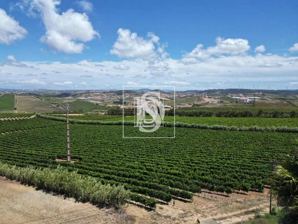 Moradia T4 para Venda em Encarnação Foto 5