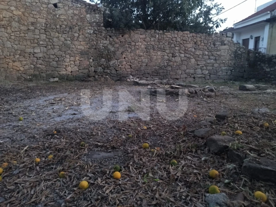Terreno para Venda em Escalos de Baixo e Mata Foto 3