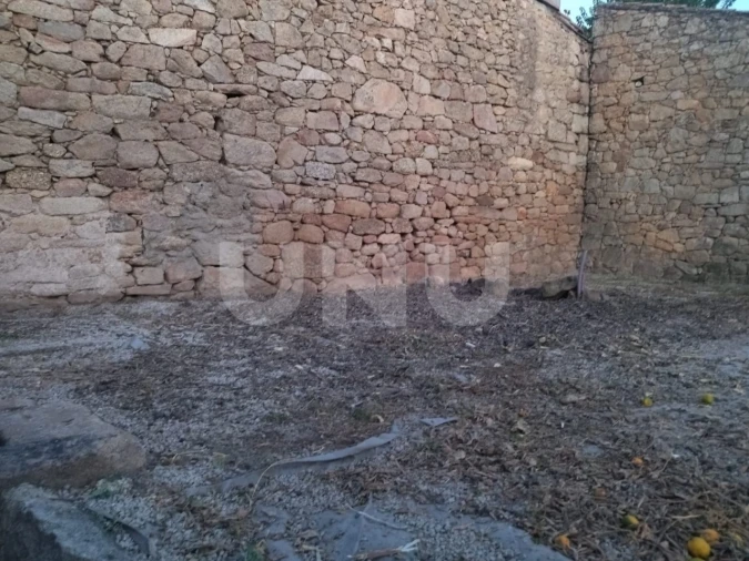 Terreno para Venda em Escalos de Baixo e Mata Foto 5