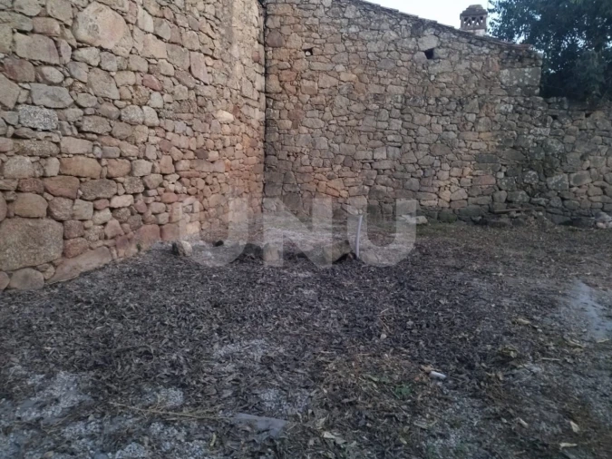 Terreno para Venda em Escalos de Baixo e Mata Foto 6