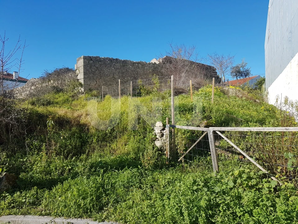 Terreno para Venda em Castelo Branco Foto 1