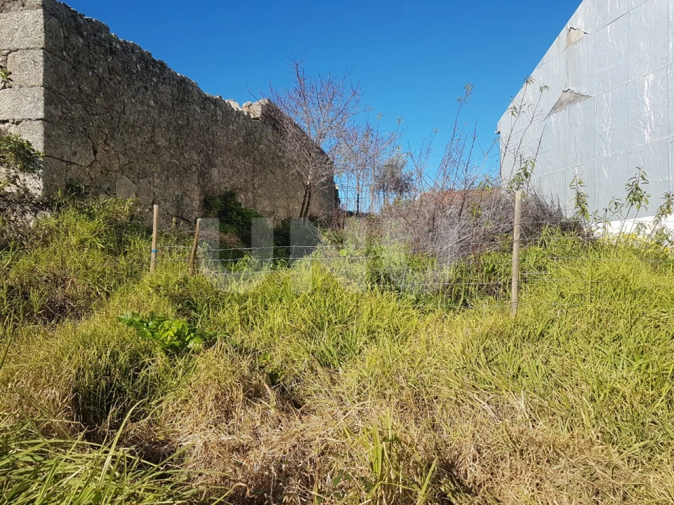Terreno para Venda em Castelo Branco Foto 4