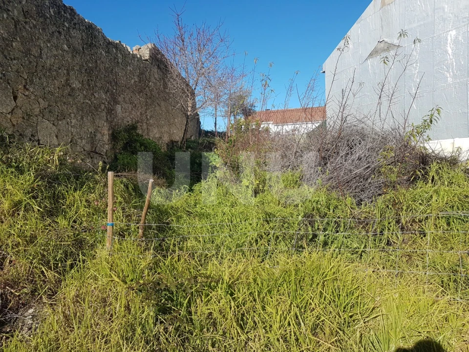 Terreno para Venda em Castelo Branco Foto 5