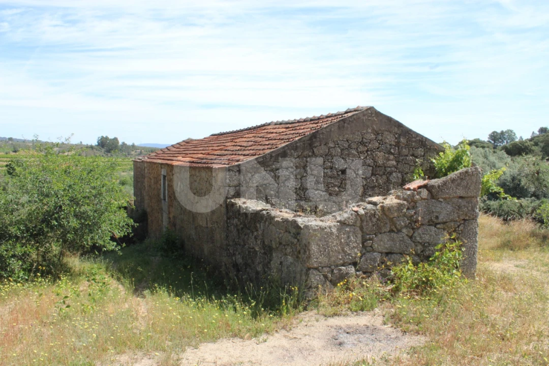 Quinta T1 para Venda em Orca Foto 5