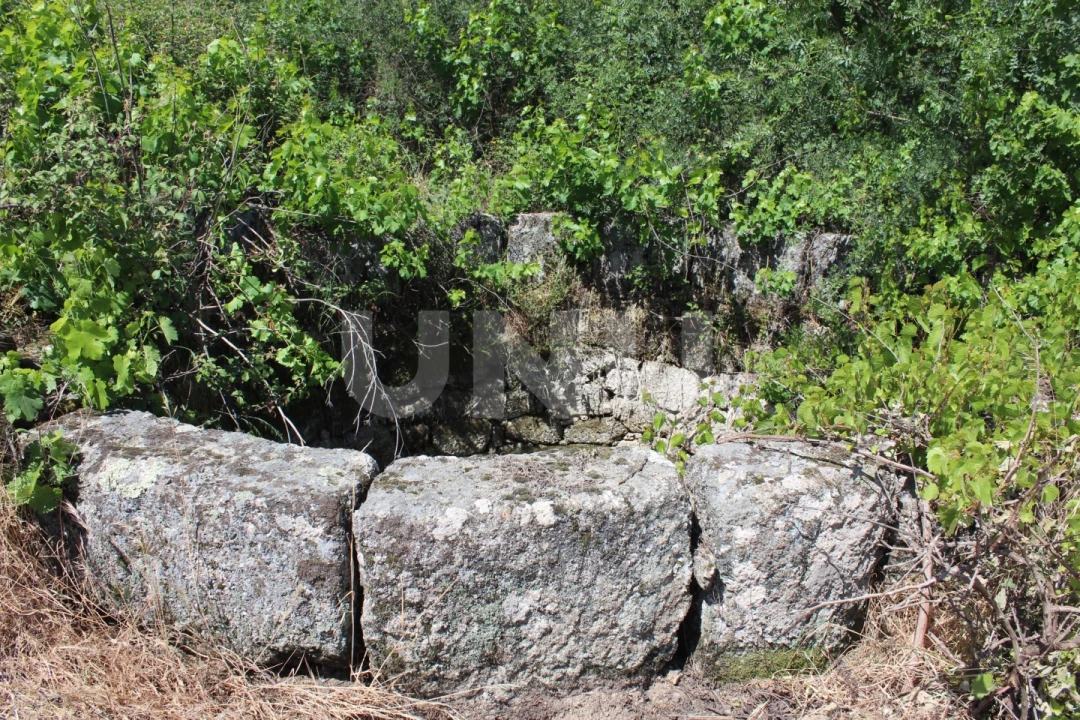 Quinta T1 para Venda em Orca Foto 9