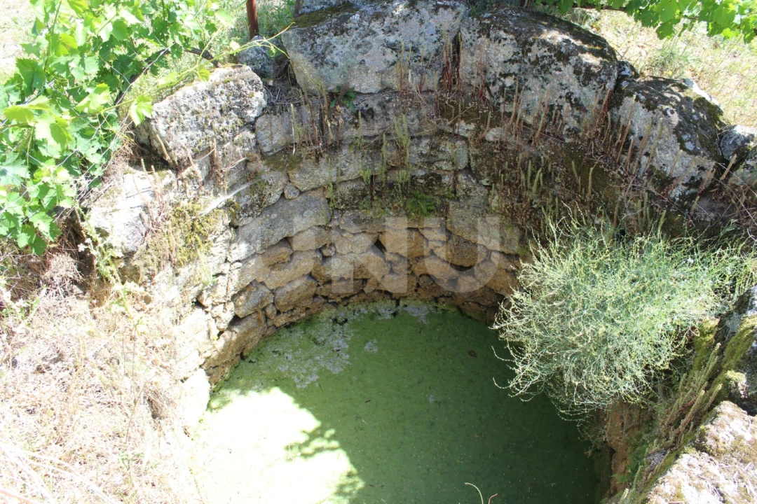 Quinta T1 para Venda em Orca Foto 11