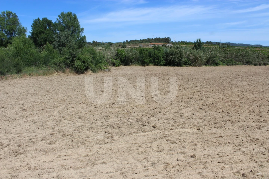 Quinta T1 para Venda em Orca Foto 13