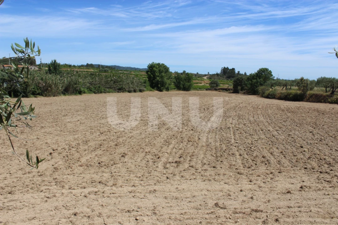 Quinta T1 para Venda em Orca Foto 14