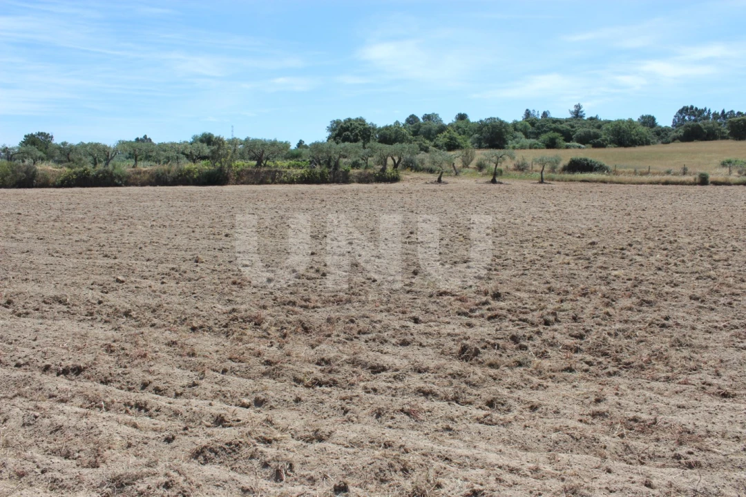 Quinta T1 para Venda em Orca Foto 17