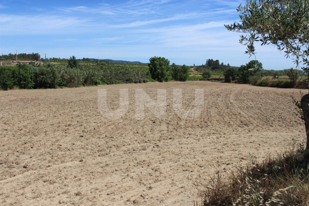 Quinta T1 para Venda em Orca Foto 19