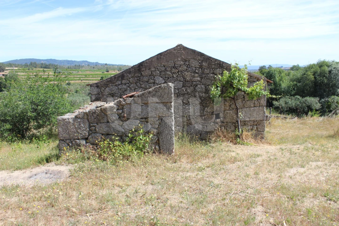 Quinta T1 para Venda em Orca Foto 24