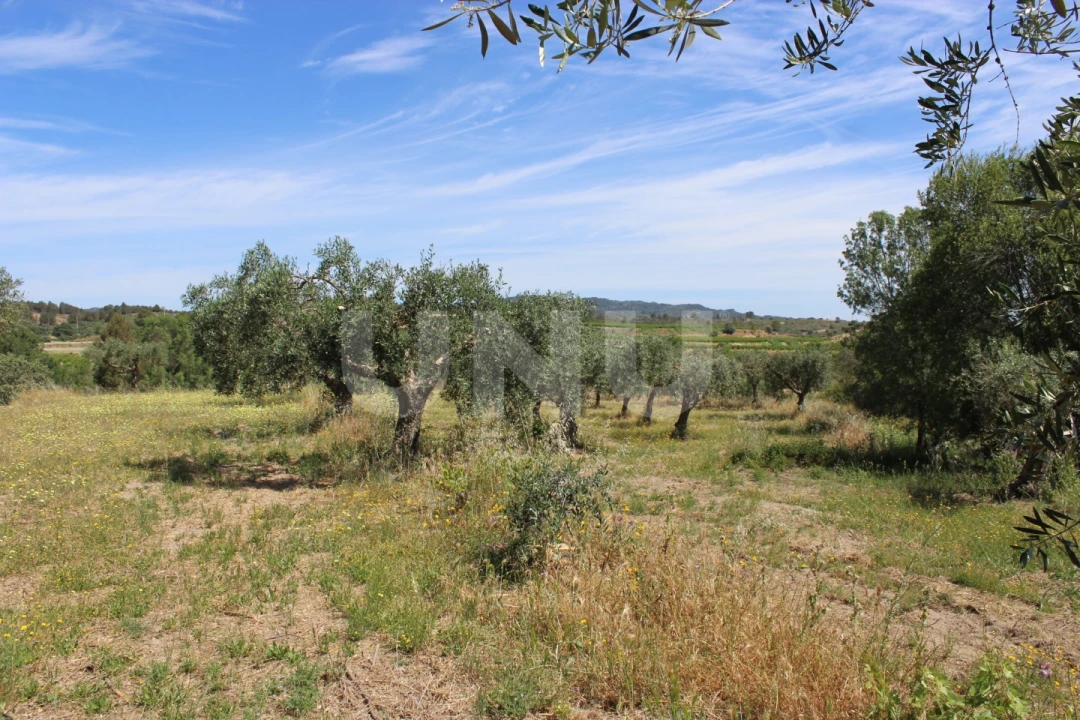 Quinta T1 para Venda em Orca Foto 33