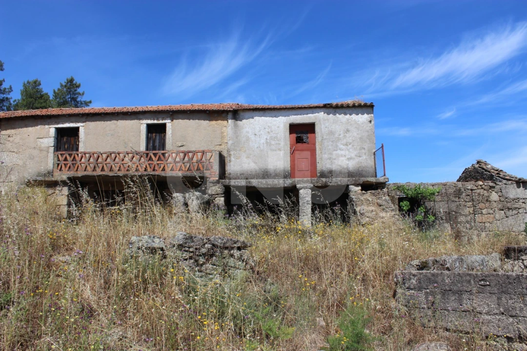 Quinta T1 para Venda em Orca Foto 34