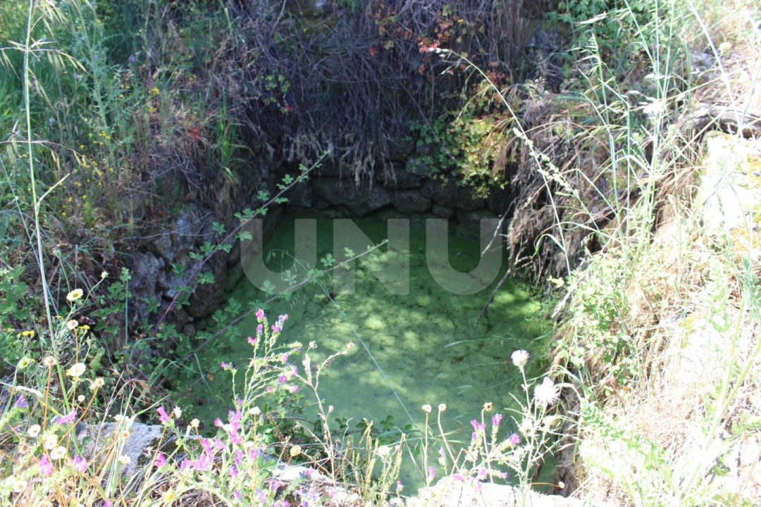 Quinta T1 para Venda em Orca Foto 37