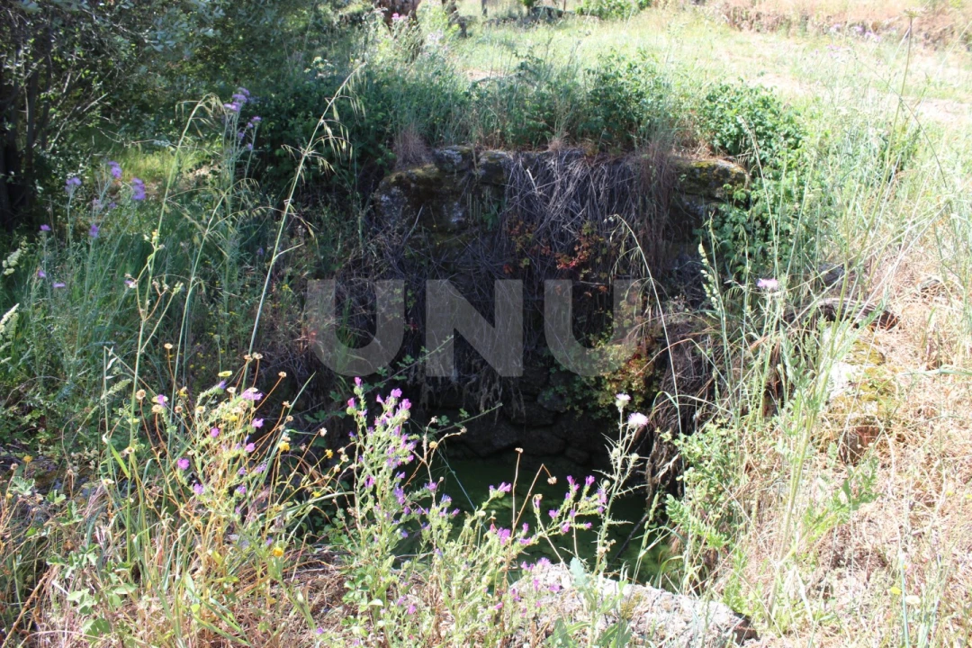 Quinta T1 para Venda em Orca Foto 38