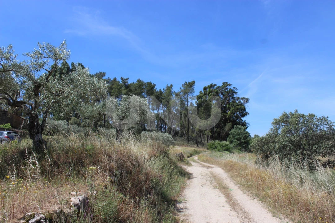 Quinta T1 para Venda em Orca Foto 45