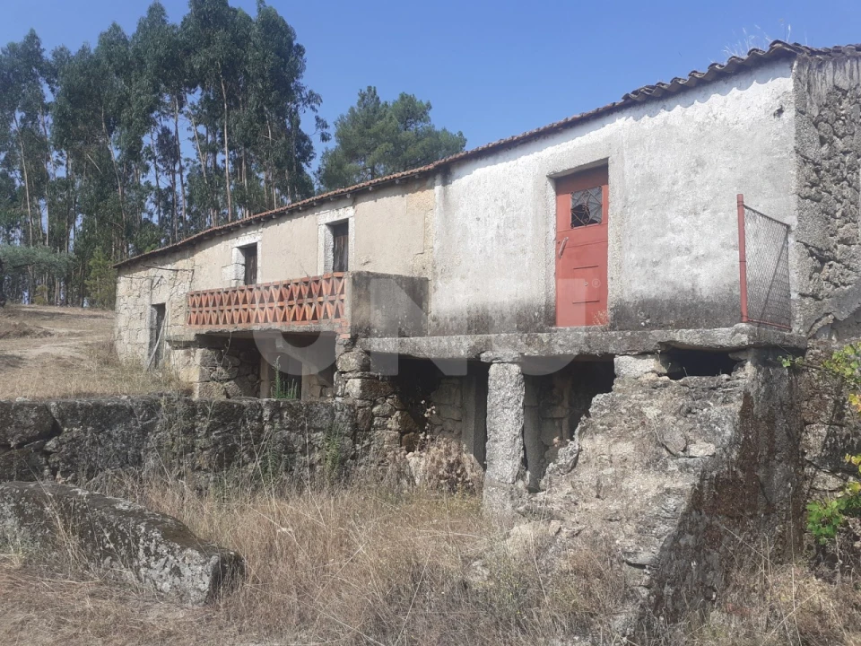 Quinta T1 para Venda em Orca Foto 4