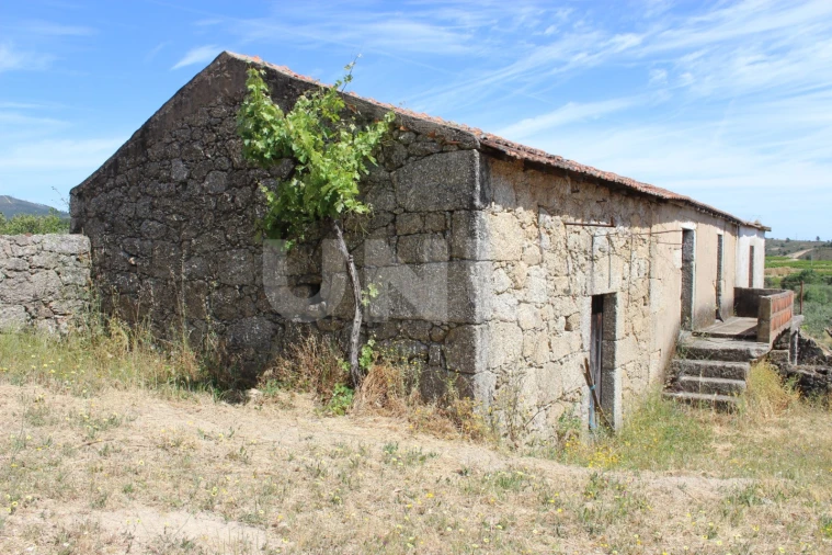 Quinta T1 para Venda em Orca Foto 2