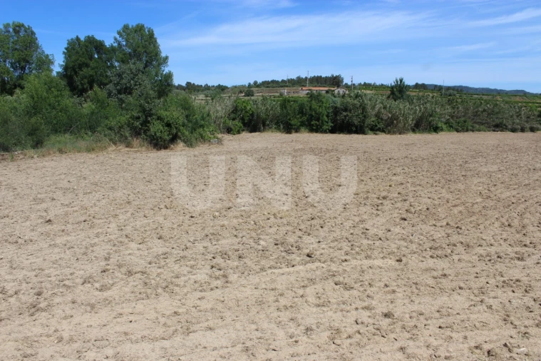 Quinta T1 para Venda em Orca Foto 13