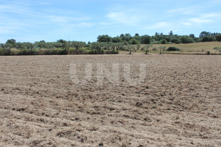 Quinta T1 para Venda em Orca Foto 17