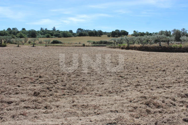 Quinta T1 para Venda em Orca Foto 18