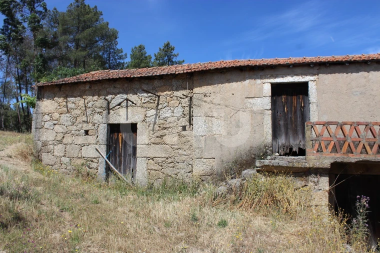 Quinta T1 para Venda em Orca Foto 22