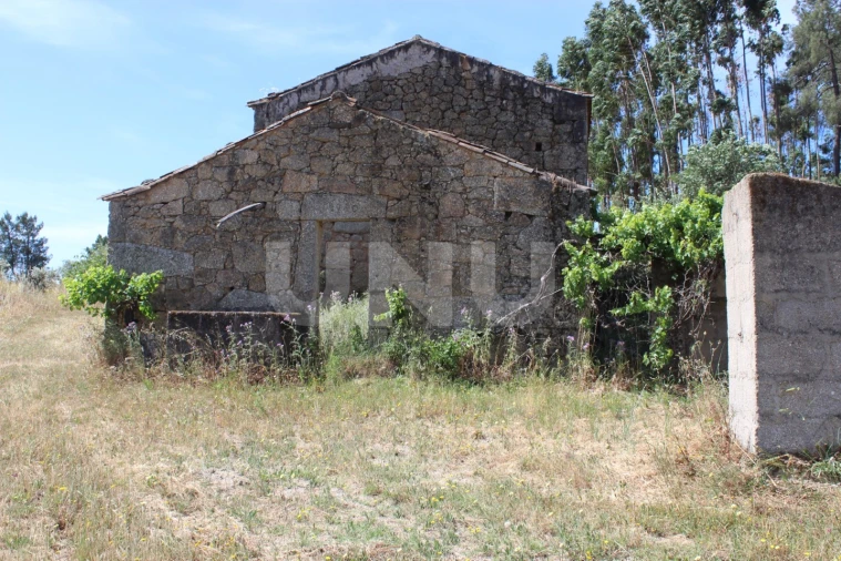 Quinta T1 para Venda em Orca Foto 23