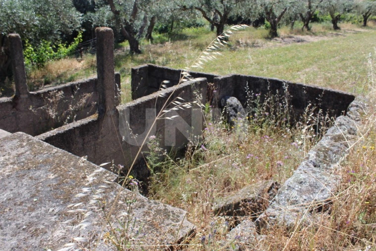 Quinta T1 para Venda em Orca Foto 25