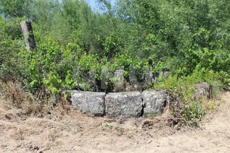 Quinta T1 para Venda em Orca Foto 26