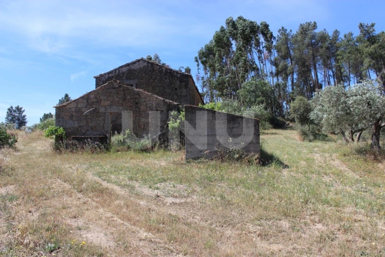 Quinta T1 para Venda em Orca Foto 36