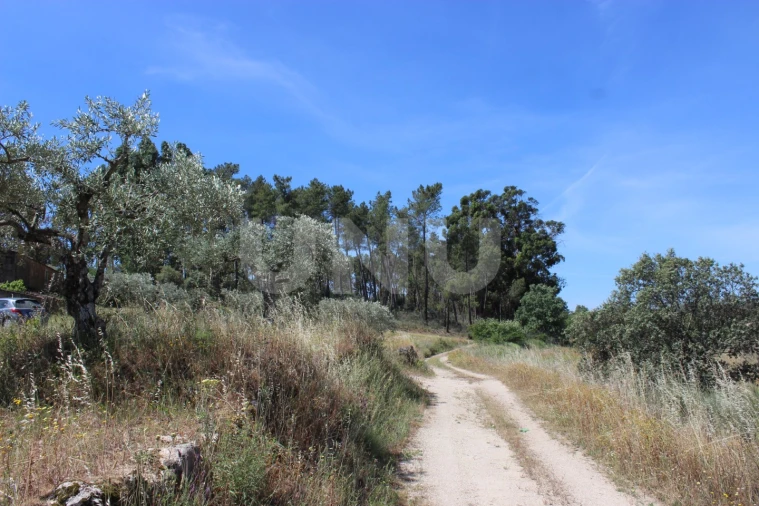 Quinta T1 para Venda em Orca Foto 45