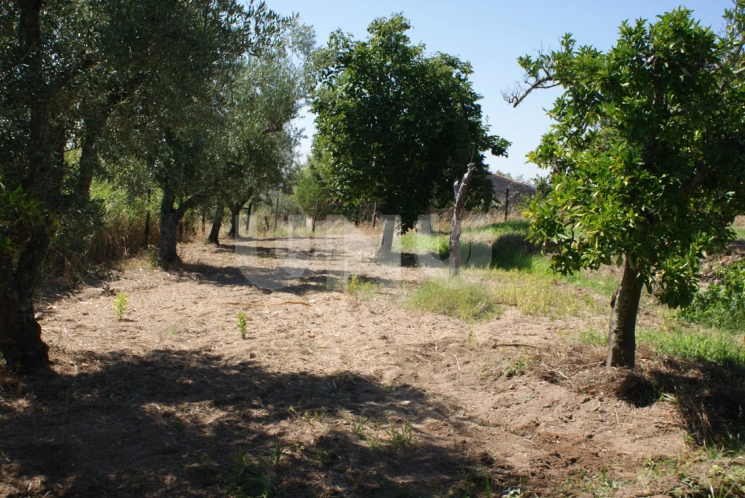 Terreno Agricola ou Rústico para Venda em Ladoeiro Foto 7