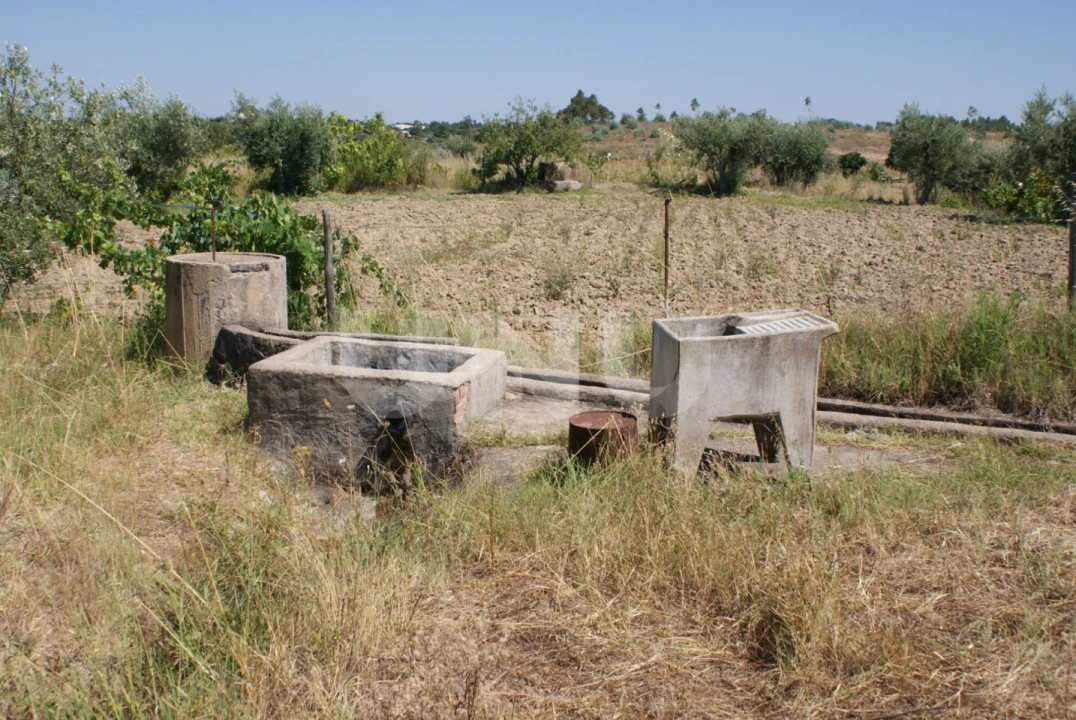 Terreno Agricola ou Rústico para Venda em Ladoeiro Foto 10