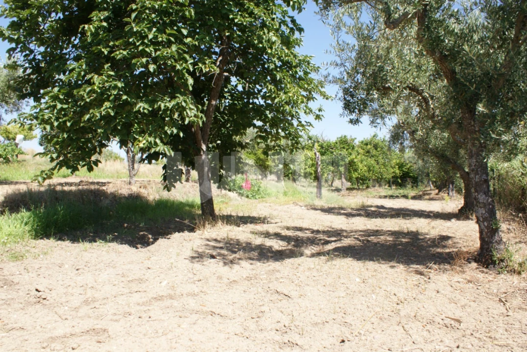 Terreno Agricola ou Rústico para Venda em Ladoeiro Foto 12