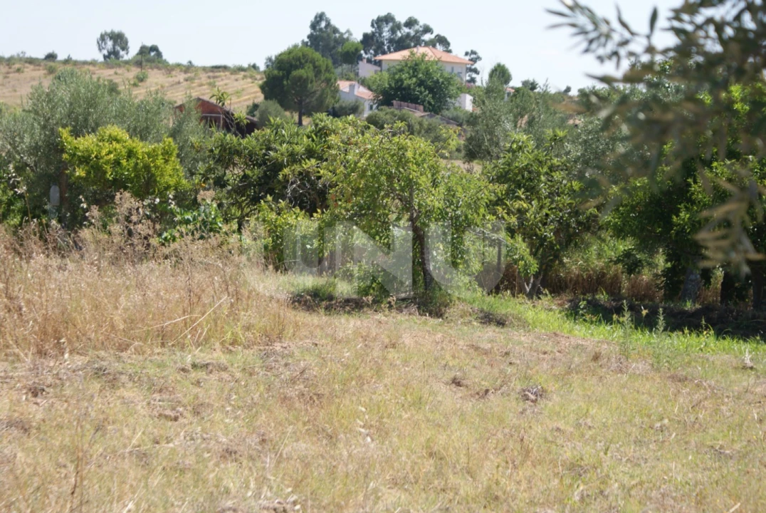 Terreno Agricola ou Rústico para Venda em Ladoeiro Foto 14