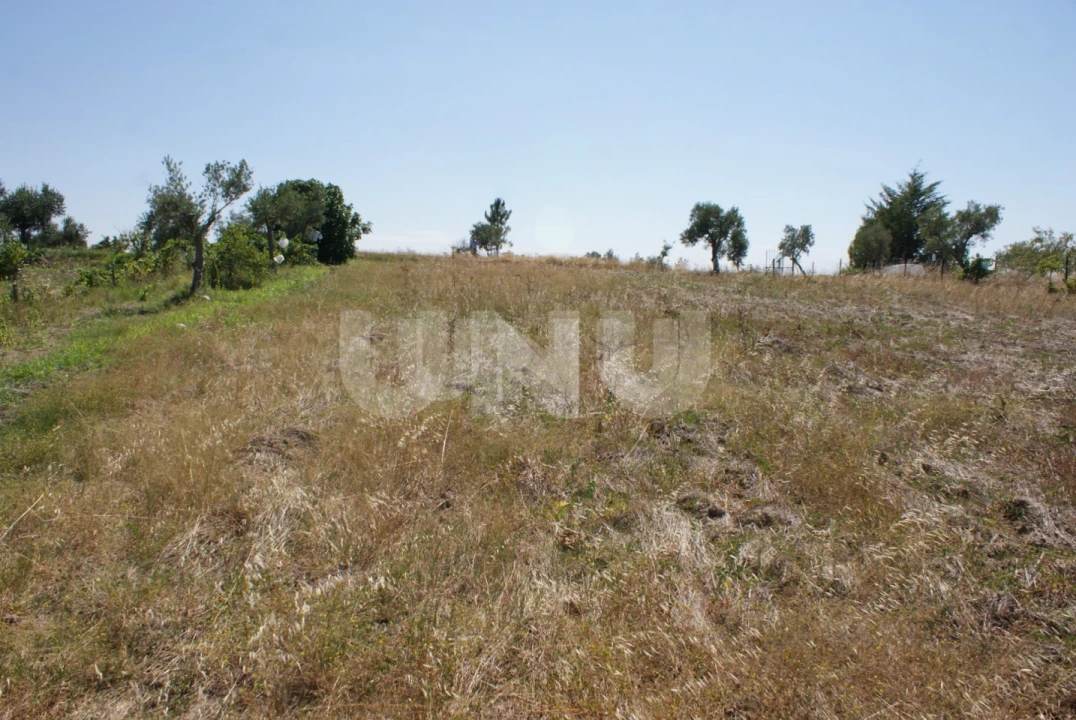 Terreno Agricola ou Rústico para Venda em Ladoeiro Foto 17
