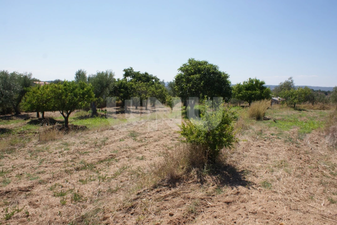 Terreno Agricola ou Rústico para Venda em Ladoeiro Foto 19