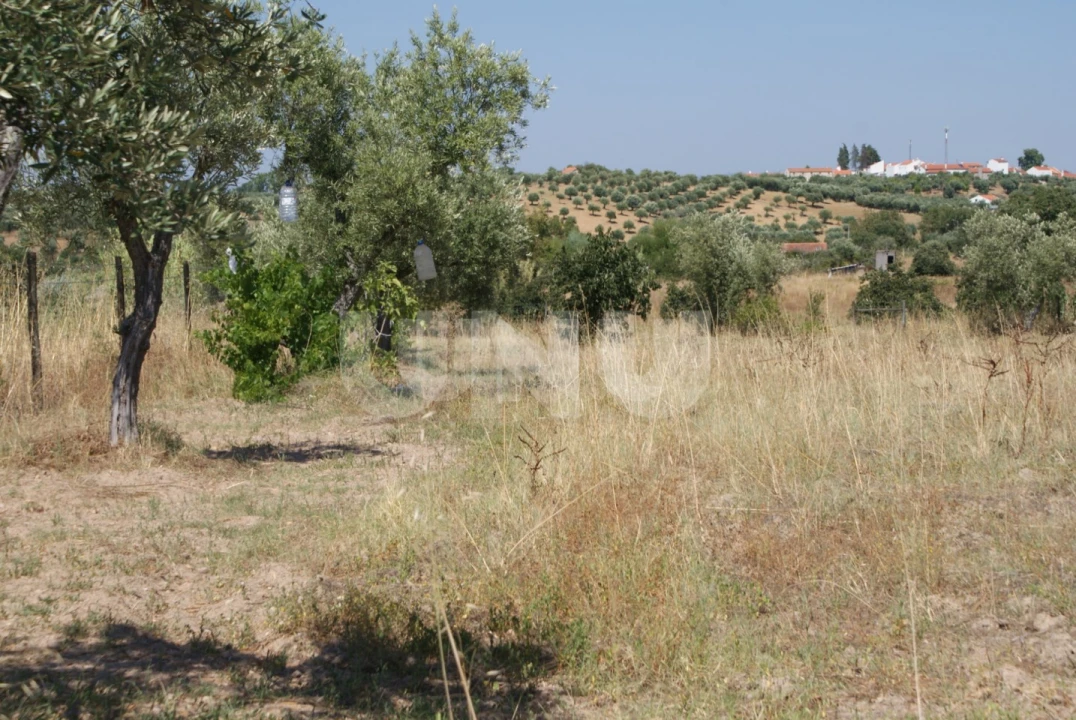Terreno Agricola ou Rústico para Venda em Ladoeiro Foto 2