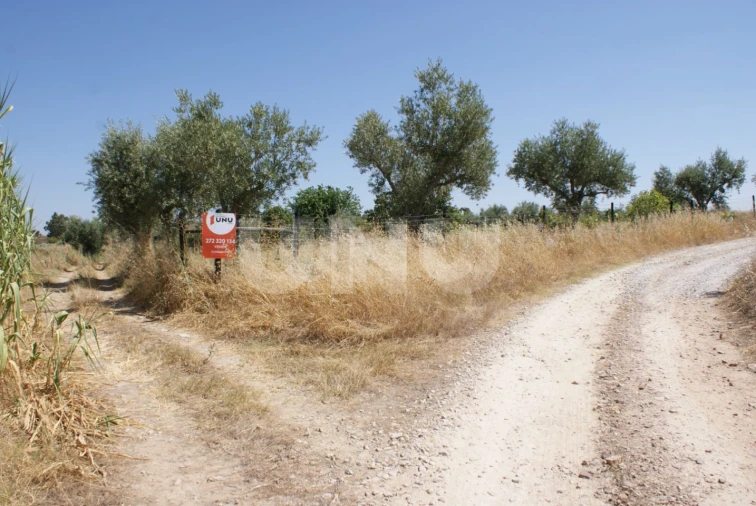 Terreno Agricola ou Rústico para Venda em Ladoeiro Foto 25