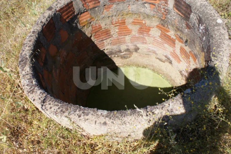 Terreno Agricola ou Rústico para Venda em Ladoeiro Foto 4