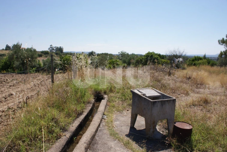 Terreno Agricola ou Rústico para Venda em Ladoeiro Foto 11