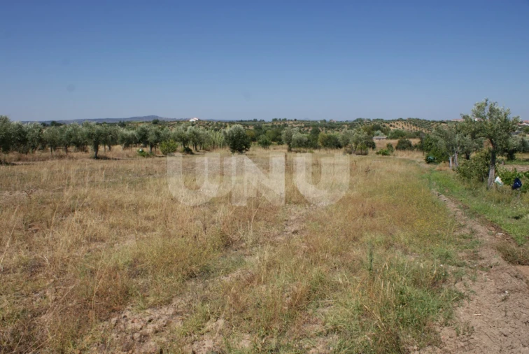 Terreno Agricola ou Rústico para Venda em Ladoeiro Foto 16